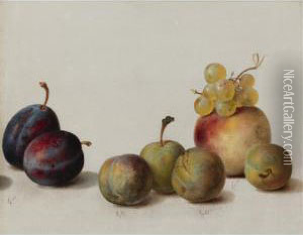 Still Life: Plums, Peach And Grapes Oil Painting - Helen R. Searle