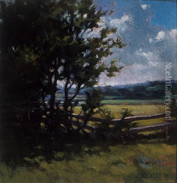 Country Landscape With Fence Oil Painting - John William Beatty