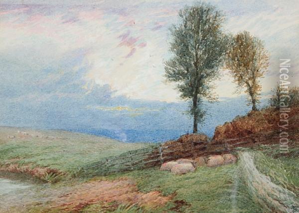 Sunset On The Hills Oil Painting - Myles Birket Foster