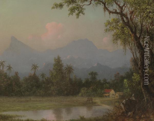 South American Scene With A Cabin Oil Painting - Martin Johnson Heade