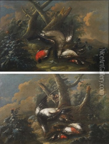 Oiseaux Sur Fond De Paysage (pair) Oil Painting - Niccolo Cassana