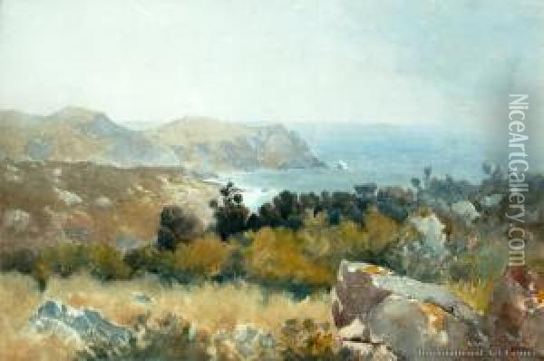 Near Wellington Oil Painting - Charles Henry Howorth