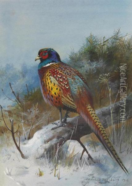 A Pheasant In A Winter Landscape Oil Painting - Archibald Thorburn