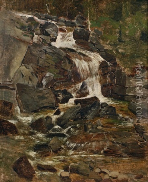 Wasserfall Im Kohlbachthale, Hohe Tatra Oil Painting - Theodor von Hoermann
