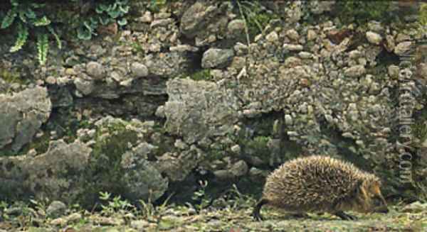 Hedgehog Oil Painting - Robert Bateman