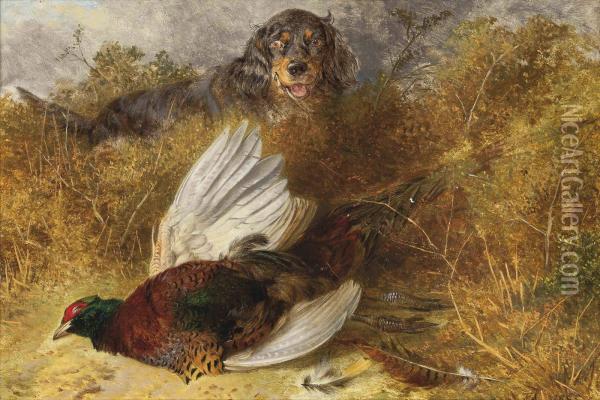 Gordon Setter And Pheasant Oil Painting - Richard Ansdell