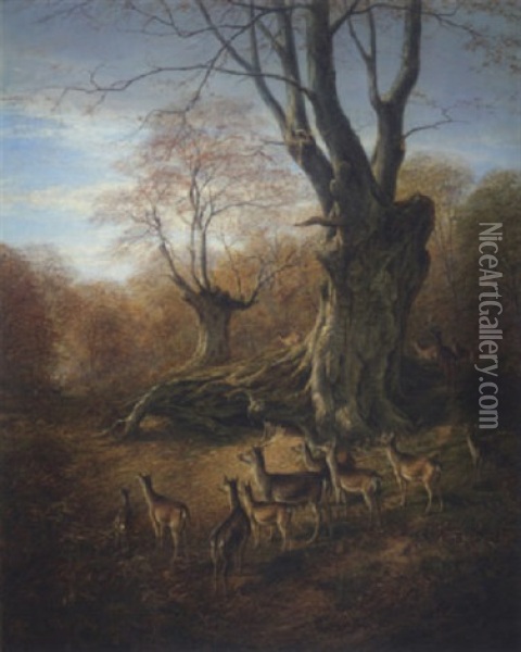 Deer In The New Forest Oil Painting - William Luker Sr.