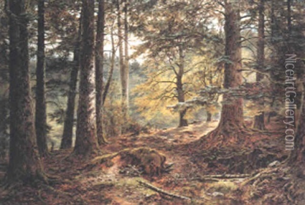 In The Deer Forest, Inverary Oil Painting - John Nesbitt