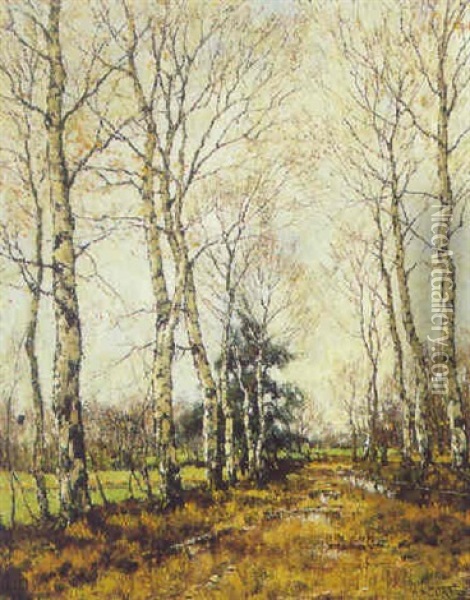 Birch Trees Oil Painting - Arnold Marc Gorter