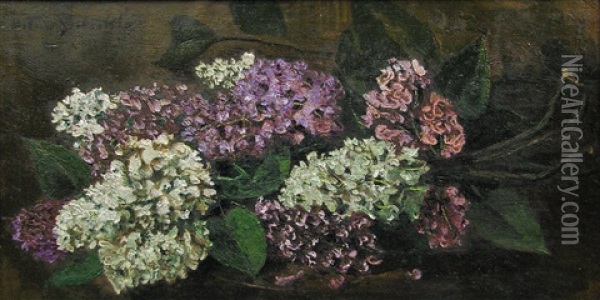 Lilac Flowers Oil Painting - Octav Bancila