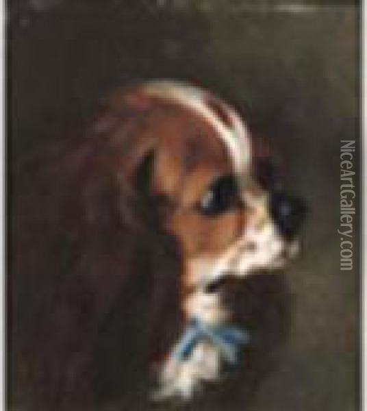 Cavalier King Charles Spaniel Oil Painting - Edwin Loder
