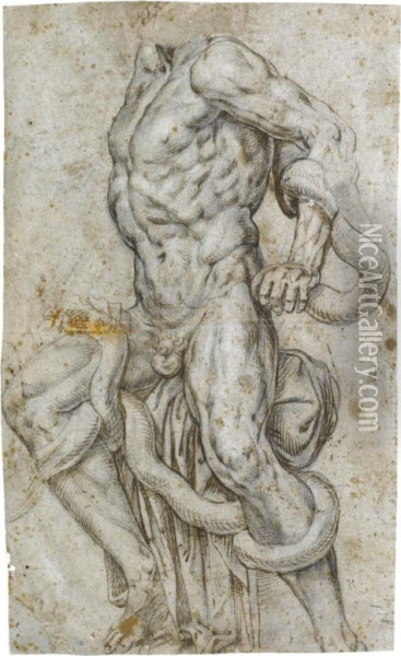 : Study After The Laocoon Oil Painting - Achille Alberti