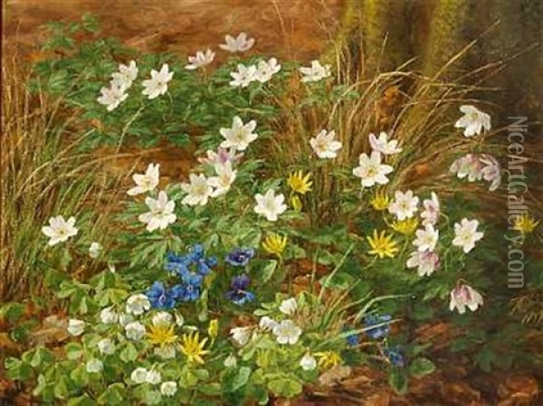 Skovbund Med Forarsblomster Oil Painting - Anthonie Eleonore (Anthonore) Christensen