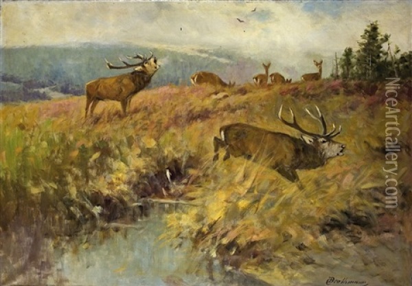 Landschaft Mit Revierkampf Zweier Hirsche Oil Painting - Christoffer Johann Drathmann