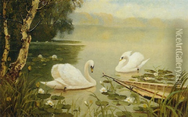 Swans On A Lake By A Birch Tree Oil Painting - Albert E. Bailey