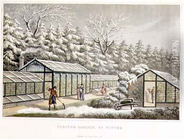 Forcing Garden in Winter, from Fragments on the Theory and Practice of Landscape Gardening, pub. 1816 Oil Painting - Humphry Repton