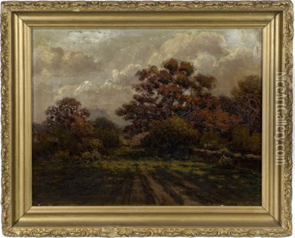 Dark Forest Landscape Oil Painting - Elizabeth Foote Ferguson