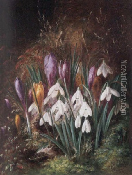 Spring Flowers Oil Painting - Albert Durer Lucas