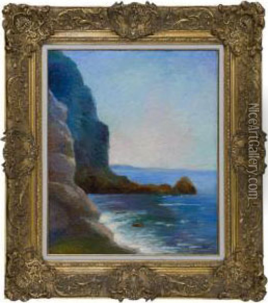 Cliffs Near Ocean. Oil Painting - Felix Bracquemond
