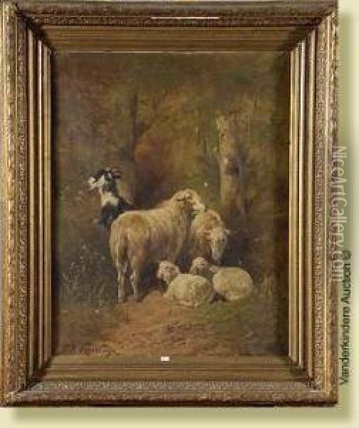 Moutons Et Chevre Oil Painting - Paul Henry Schouten