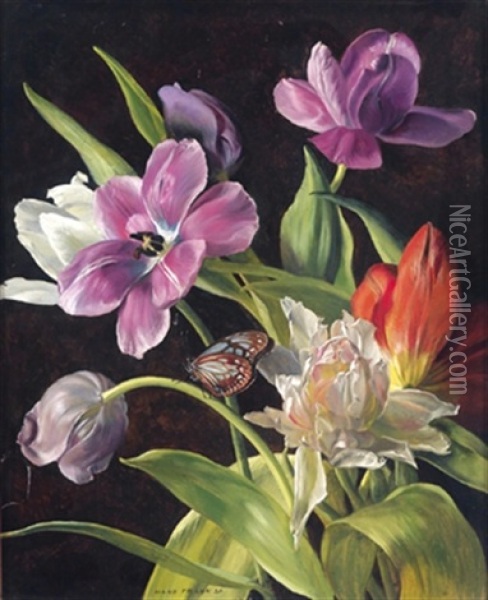 Tulpen Und Schmetterling Oil Painting - Hans Frank