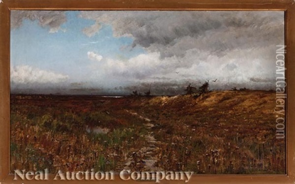 Marsh Lands Oil Painting - M. de Forest Bolmer