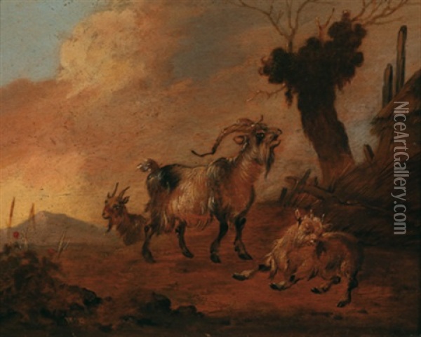 Drei Ziegen In Einer Landschaft Oil Painting - Willem Pietersz Buytewech