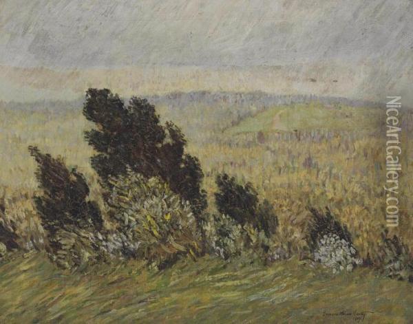 The Cedar Hedge Chestnut Hill, Boston, Massachusetts Oil Painting - Marsden Hartley