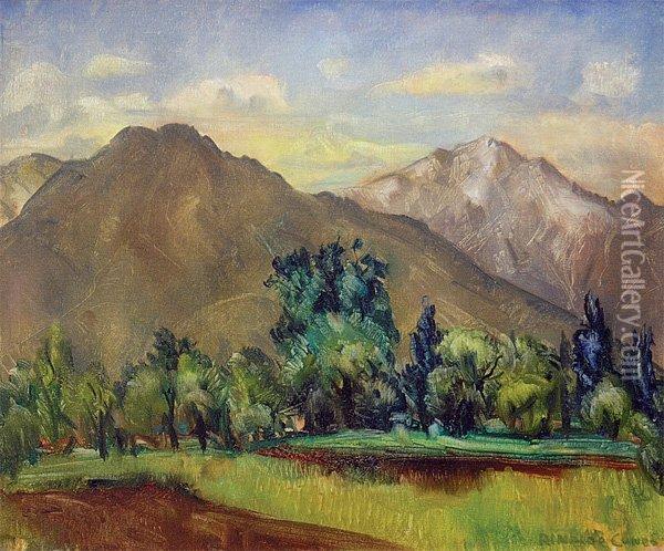 Mountain Landscape (wasatch Mountains Oil Painting - Rinaldo Cuneo