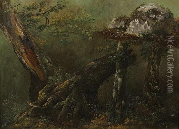 Etude D'arbre. Oil Painting - Louis-Auguste Brun