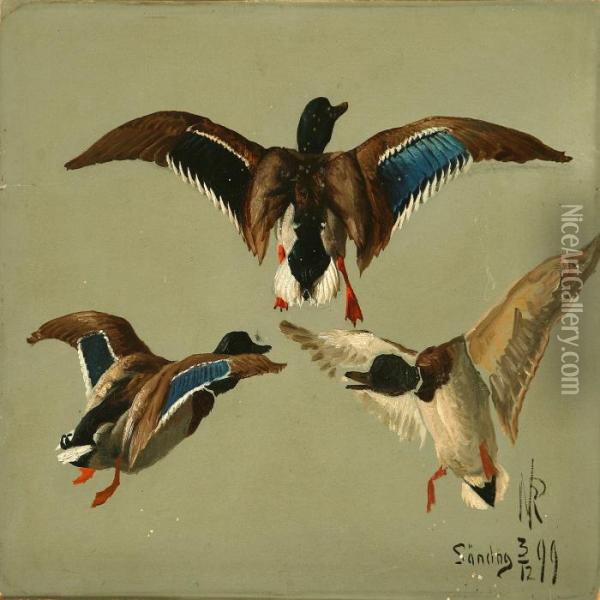 Ducks Oil Painting - Niels Peter Rasmussen