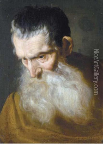 Head Of A Bearded Man Oil Painting - Sir Anthony Van Dyck