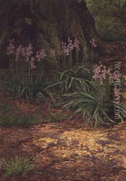 Bluebells Oil Painting - Edward Clifford