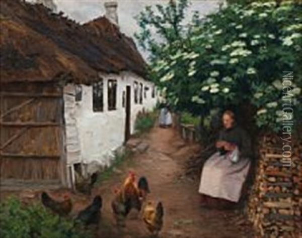 June Day With A Peasant Woman Knitting Under The Elder Tree In Bloom Oil Painting - Hans Andersen Brendekilde