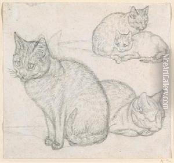A Double Sketch Of Two Cats Oil Painting - Gottfried Mind