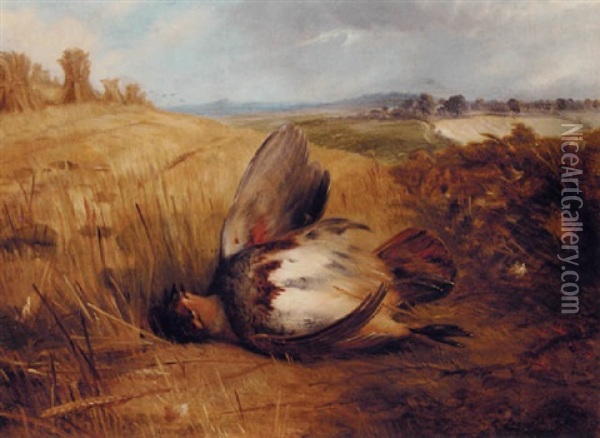 A Partridge In An Extensive Landscape Oil Painting - Frederick Richard Lee
