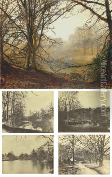 Study Of Beeches, Evening Effect Oil Painting - John Atkinson Grimshaw