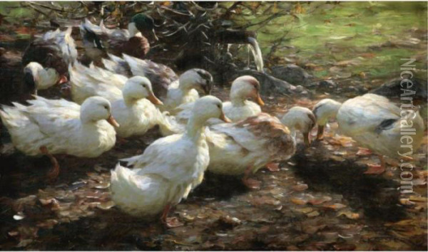 Neun Enten Am Wasserlauf (nine Ducks) Oil Painting - Alexander Max Koester