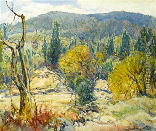 Autumn In The Mountains Oil Painting - Charles Reiffel