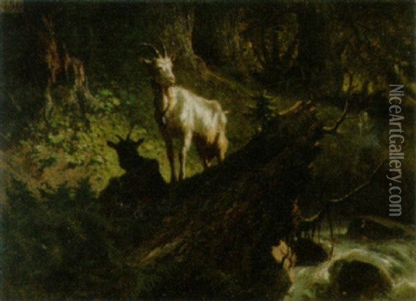 Wildes Waldstuck Mit Zwei Ziegen Oil Painting - Charles (Jean-Ch. Ferdinand) Humbert