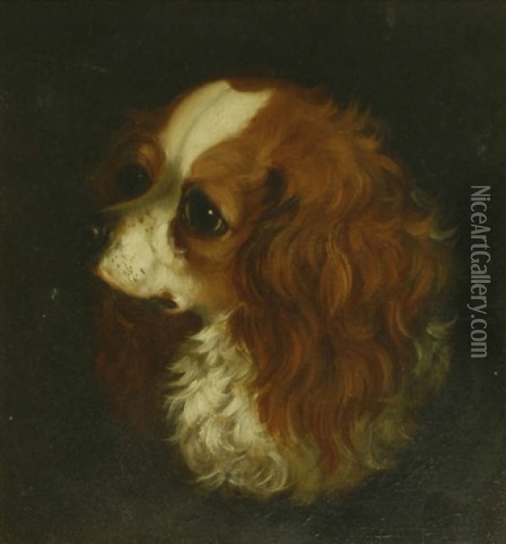 Head Of A King Charles Spaniel; Head Of A Terrier Oil Painting - Alfred Wheeler