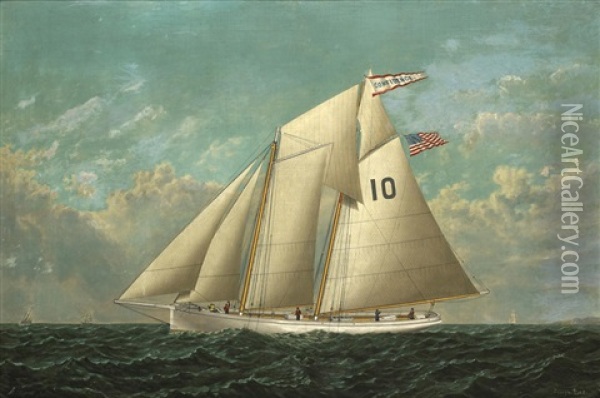 The Pilot Schooner Confidence Under Full Sail Oil Painting - Joseph Lee