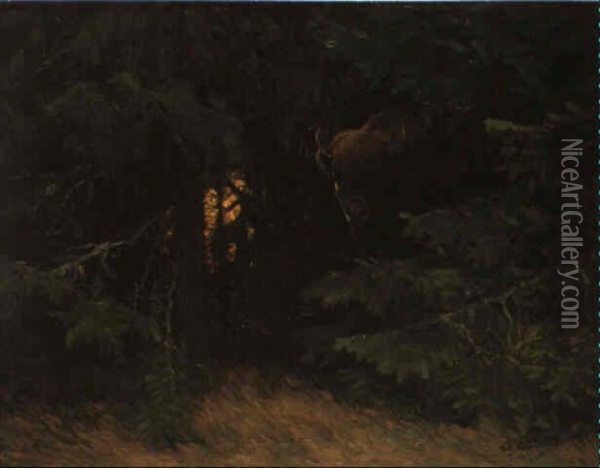 Wisent Im Urwald Oil Painting - Wilhelm Friedrich Kuhnert