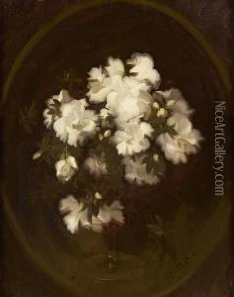Still Life Of White Roses Oil Painting - James Stuart Park