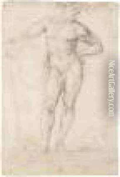 A Standing Male Nude Oil Painting - Girolamo Francesco Maria Mazzola (Parmigianino)