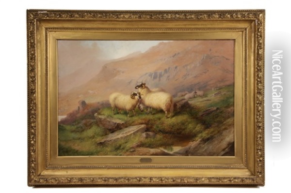 Highland Sheep Oil Painting - William Perring Hollyer