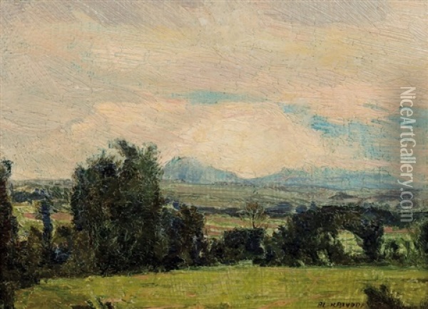 Krajina S Remizkem Oil Painting - Alois Kalvoda