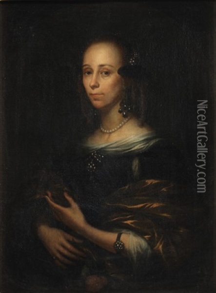 Portrait Of A Lady, Half-length, In A Blue Dress With A Gold Shawl Oil Painting - Pieter Nason