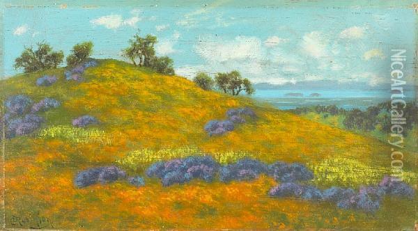 San Pablo Bay From San Rafael, Marin County, California Oil Painting - Charles Robinson