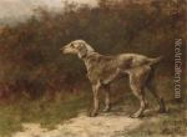 Clyde Boy, A Beddlington Terrier Oil Painting - Maud Earl